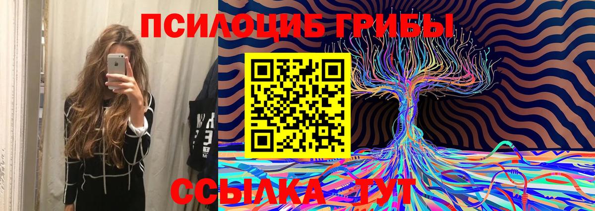 Большой Камень  Галлюциногенные грибы мицелий  Вход с VPN 