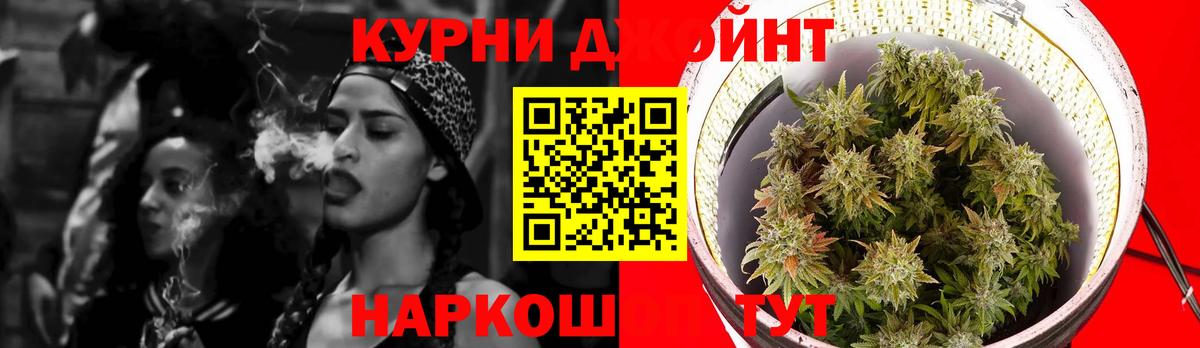 Конопля план  Бошки марихуана тримм  Большой Камень  Вход с VPN  Бошки Шишки AK-47  Шишки марихуана сатива 